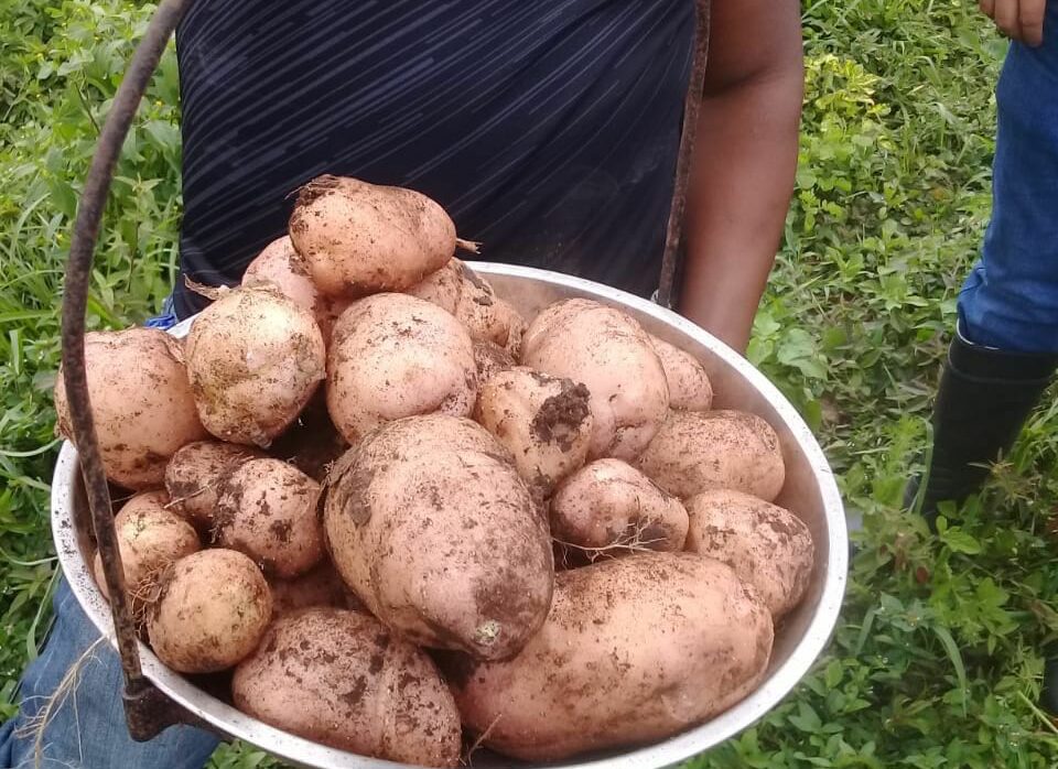 Promoting farm foods